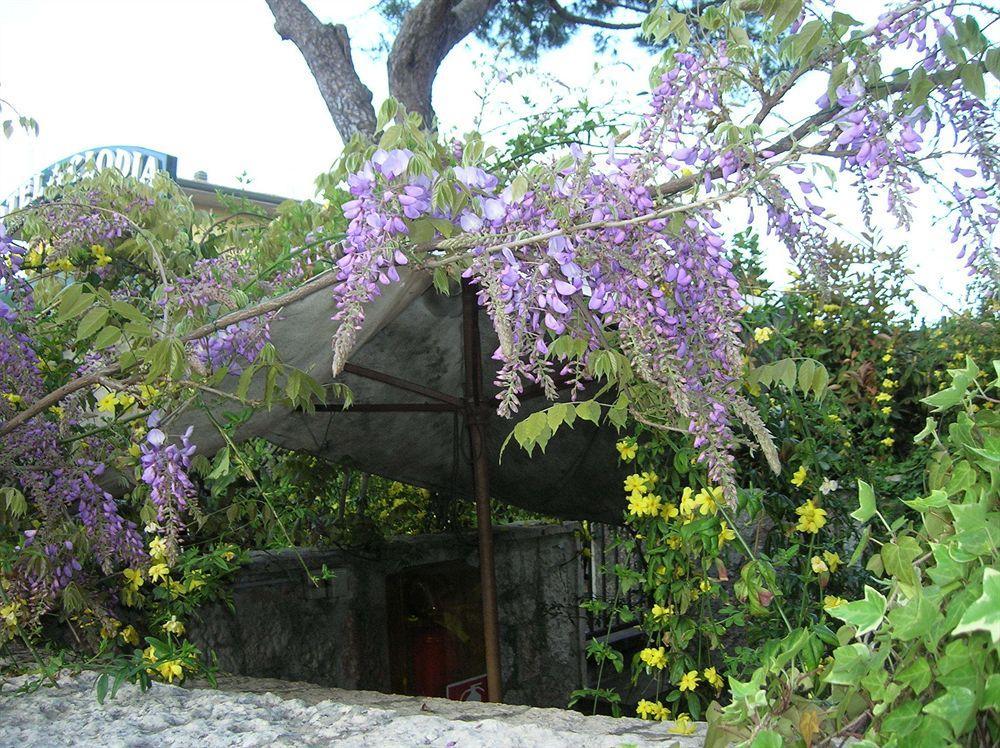Hotel Villa Pagoda Sirmione Esterno foto